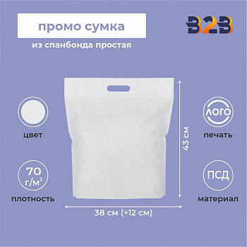 Промо сумка из спанбонда простая, большая