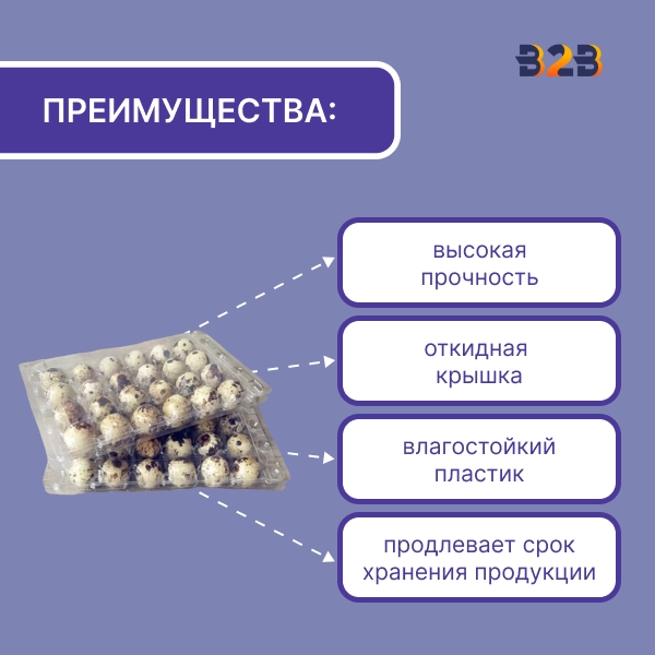 Упаковка для перепелиных яиц, 24 ячеек (пластик)